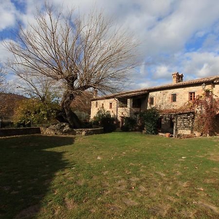 Antico Gelso Villa Todi Exterior photo